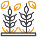 Whole Grains Wholegrains Complexcarbs Icon