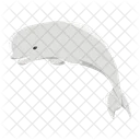 Beluga White Whale Icon