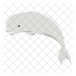 Whtie whale  Icon