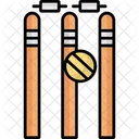 Sport Wicket Cricket Wicket Wicket Icon