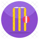Wicket  Icon