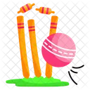 Wicket Out Stump Cricket Wicket Icon