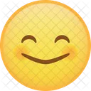 Smile Wide Smile Emoji Icon