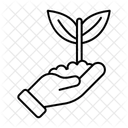 Wiederaufforstung  Symbol