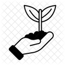Wiederaufforstung Pflanzen Okologie Symbol