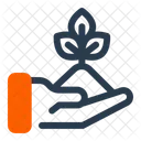 Wiederaufforstung Baumpflanzung Kohlenstoffbindung Symbol