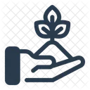 Wiederaufforstung Baumpflanzung Kohlenstoffbindung Symbol