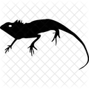 Alligator Crocodile Reptile Icon
