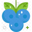 Wild Blueberry Fruit Healthy Icon