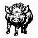 Wild Boar Animal Mammal Icon