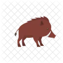 Wild Boar Animal Mammal Icon