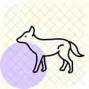 Wild Dog Icon