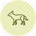 Wild Dog Wild Dog Icon