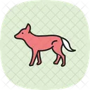 Wild Dog Wild Dog Icon