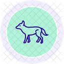 Wild Dog Wild Dog Icon