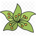 Wild Flower Nature Bloom Untamed Flower Icon