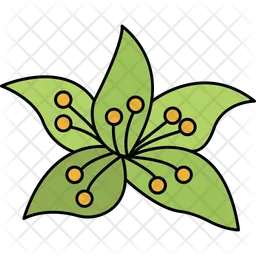 Wild Flower  Icon