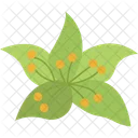 Wild Flower  Icon