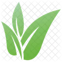 Wild Leaves Design Leaves Logo Plant Leaves Icon