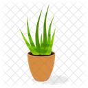 Wild Plant  Icon
