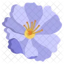 Wild Rose Flower Flowers Icon