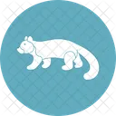 Wildcat Badger Carnivores Symbol