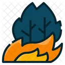 Wildfire Burning Pollution Icon