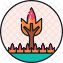 Wildfire Wildland Fire Fire Icon