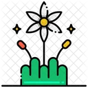 Wildflower  Icon