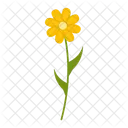 Wildflowers  Icon