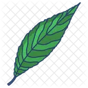 Willow Leaf  Icon