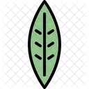 Willow leaf  Icon