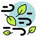 Wind Blowing Weather Wind Icon