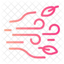 Wind Sonne Symbol