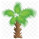 Windmill Palm  Icon