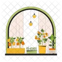 Windowsill Garden Indoor Gardening Sill Windowsill Icono
