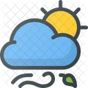 Windy weather  Icon