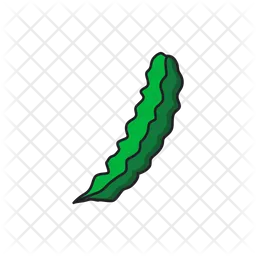 Winged bean  Icon