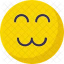 Wink Emoticons Smiley Icon