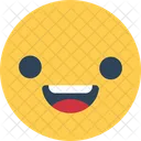 Winking Face Blink Smiley Feel Icon