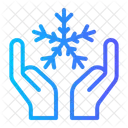 Winter Christmas Snowflake Icon