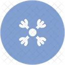 Winter Snowflake Decoration Icon