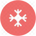 Winter Flake Snowflake Icon