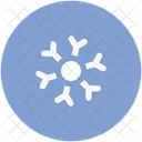 Winter Flake Snowflake Icon