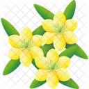 Winter Aconite Spring Nature Icon