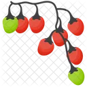 Winter Berries Berries Berry Fruits Icon