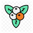 Winter berries Icon
