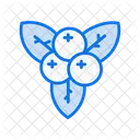 Winter berries  Icon