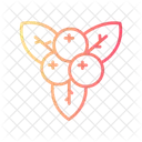 Winter berries  Icon