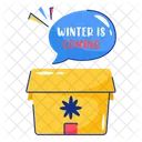 Winter Box Decoration Icon